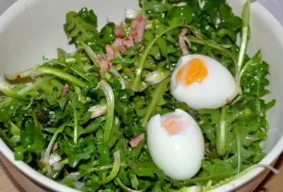 salade de pissenlits
