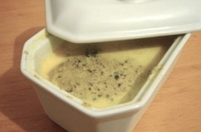 foie gras mi-cuit en terrine