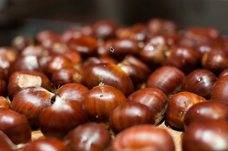 châtaignes
