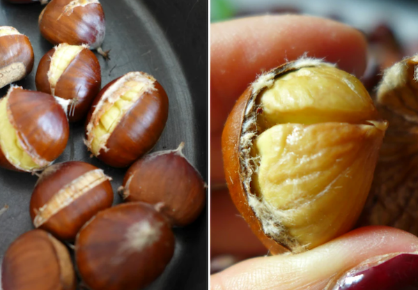 éplucher châtaignes A